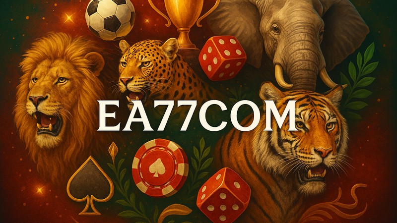 EA77COM - বিঙ্গো প্যাটার্ন ও অডস বিশ্লেষণ